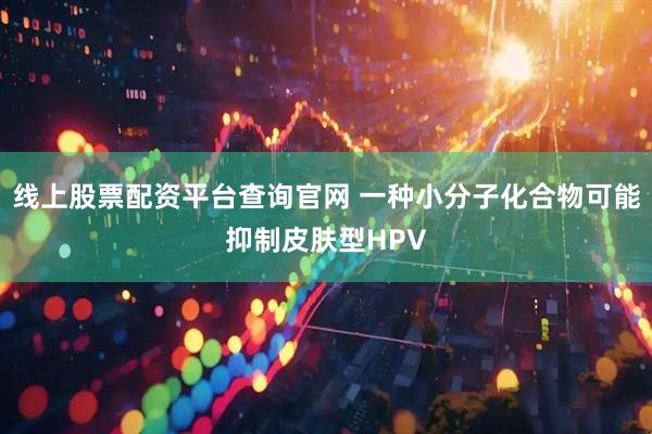 线上股票配资平台查询官网 一种小分子化合物可能抑制皮肤型HPV