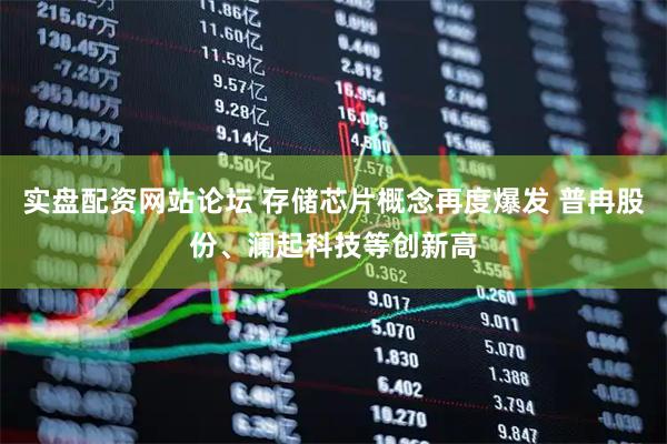 实盘配资网站论坛 存储芯片概念再度爆发 普冉股份、澜起科技等创新高